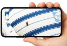 Smarter Bed Bug Fix