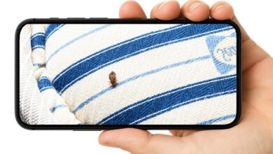 Smarter Bed Bug Fix